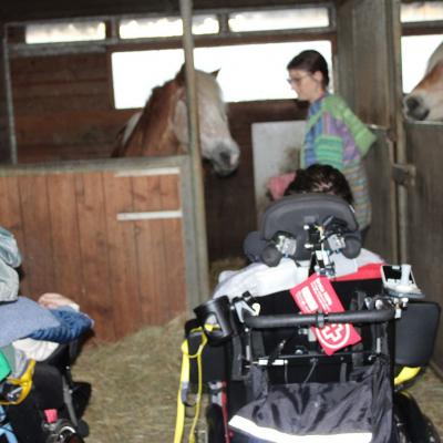 Zwei Rollstuhlfahrer stehen mit dem Rücken zur Kamera. Zwei Pferde schauen aus ihren Stallboxen und eine Frau steht bei den Pferden