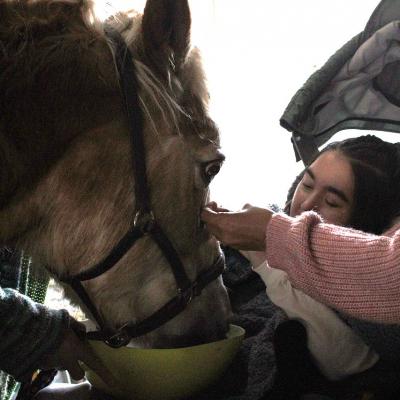 Eine junge Frau im Rollstuhl füttert ein Pferd aus einer grünen Schüssel, sie wird dabei von einer Frau unterstützt. 