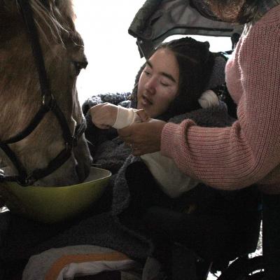 Eine junge Frau im Rollstuhl füttert ein Pferd aus einer grünen Schüssel und hält ihre Hand in die Nähe des Kopfes vom Pferd, sie wird dabei von einer Frau unterstützt.