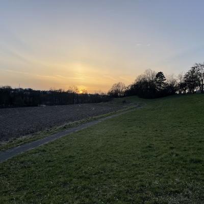 Die Sonne geht über einer Wiese und Feld unter