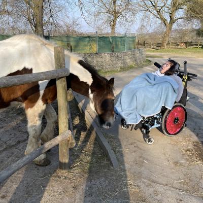 Ein Mädchen streckt die Hand nach einem Pferd aus und streichelt es am Kopf.