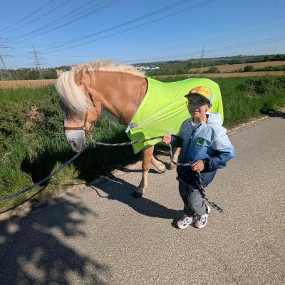 Ein Junge führt das Pferd an der leine und lacht in die Kamera