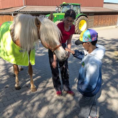 Ein Junge und eine Frau begrüßen das Pferd