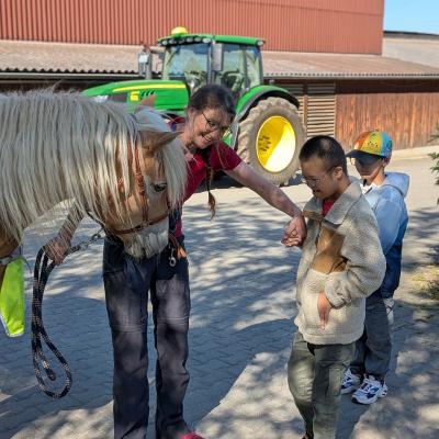 Zwei Jungen und eine Frau begrüßen das Pferd