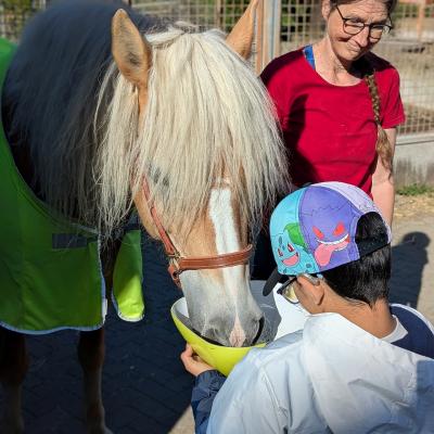 Ein Junge füttert das Pferd und eine Frau hilf dabei 