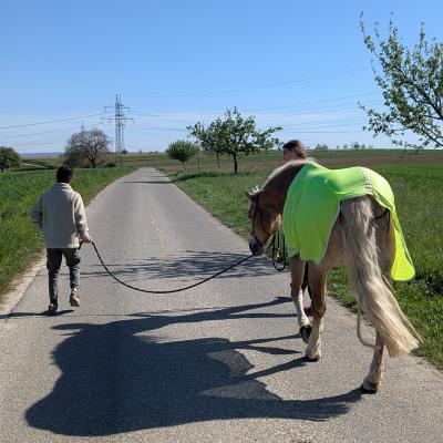 Ein Junge führt ein Pferd an der Leine spazieren