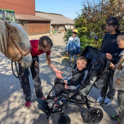 Drei Jungs, einer im Buggy und zwei Frauen stehen beim Pferd und begrüßen es gemeinsam