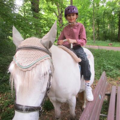 Ein 9jähriges Mädchen mit Helm frontal aufgenommen auf einer weißen Stute, rechts neben ihr eine Bank.