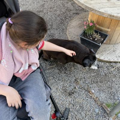 Ein Mädchen sitzt im Buggy, neben ihr sitzt ein Hund: Das Mädchen streckt ihren Arm zum Hund.