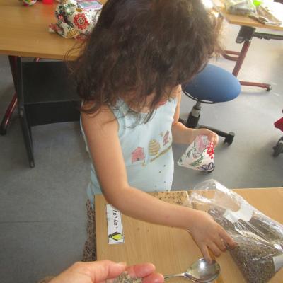 Ein Mädchen füllt im Klassenzimmer getrockneten Lavendel in ein selbstgenähtes Säckchen