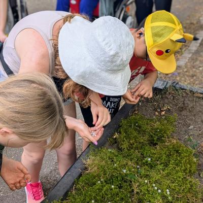 drei Kinder stehen an einem Beet mit Moss und sammeln Perlen