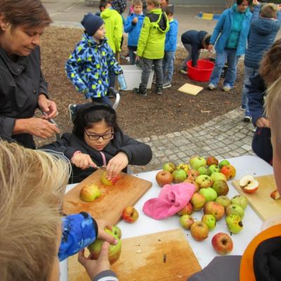 Apfelsaft pressen