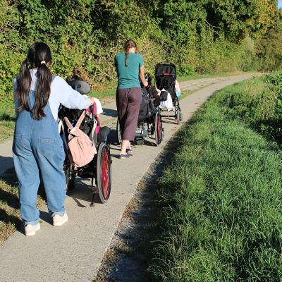 Rollstuhlkarawane auf einem Weg im Grünen.
