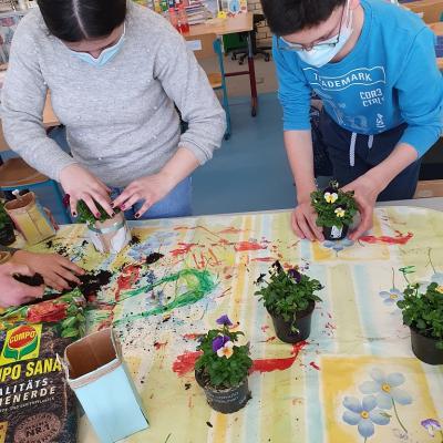 Upcycling